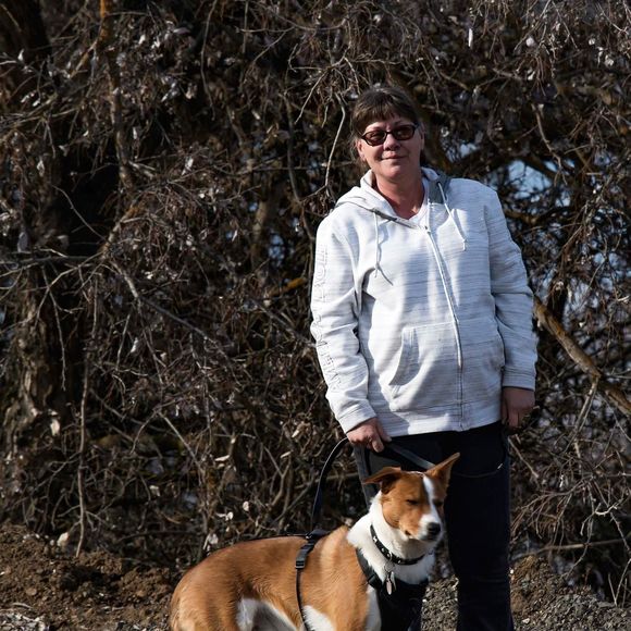 Meet your Posher, Barb - Picture 1 of 1